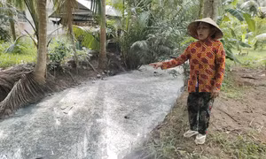 Người dân kiến nghị sớm khắc phục ô nhiễm kênh tại Giồng Trôm, Bến Tre