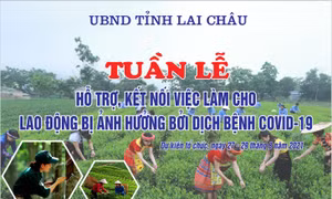 Công tác chuẩn bị cho Tuần lễ đang được các đơn vị gấp rút chuẩn bị chu đáo, hiệu quả. Ảnh: Việt Hoàng-TTXVN