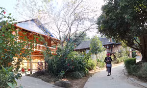 Bản Thẳm, xã Bản Hon, huyện Tam Đường, tỉnh Lai Châu của đồng bào dân tộc Lự là điểm du lịch cộng đồng đặc sắc. Ảnh:; Nguyễn Oanh-TTXVN.
