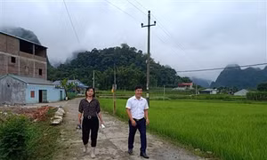 Đường nông thôn xóm Đầu Cầu Một, xã Quảng Hưng (Quảng Hòa) được bê tông hóa. Nguồn: baocaobang.vn