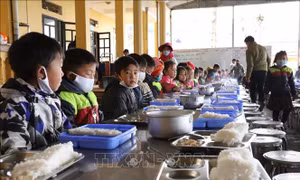 Yên Bái: Đảm bảo an toàn thực phẩm trong trường học bán trú