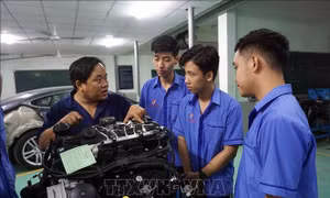 Mô hình 9+ dành cho học sinh tốt nghiệp trung học cơ sở học nghề theo phương thức liên thông từ trung cấp lên cao đẳng đang được nhiều trường cao đẳng tại Thành phố Hồ Chí Minh triển khai, thu hút nhiều học sinh theo học. Ảnh: Thu Hoài - TTXVN