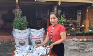 Gạo Séng Cù Mường Lò