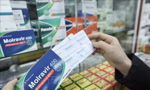Thuốc điều trị COVID-19 chứa hoạt chất Monulpiravir chính hãng cho bệnh nhân F0 điều trị tại nhà và có chỉ định của bác sĩ được bán với giá 250.000 đồng cho một liệu trình. Ảnh: Minh Quyết – TTXVN