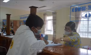 Người lao động đến Bảo hiểm xã hội tỉnh Đắk Lắk hỏi thủ tục và quy trình nhận hỗ trợ từ Nghị quyết 116. Ảnh: Hoài Thu – TTXVN.