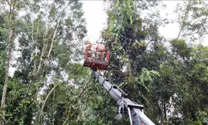 Công nhân, cán bộ kỹ thuật đơn vị Điện lực thành phố Điện Biên Phủ làm việc xuyên trưa để khắc phục, sửa chữa sự cố mất điện tại địa bàn xã Pá Khoang (thành phố Điện Biên Phủ, tỉnh Điện Biên). Ảnh: TTXVN phát
