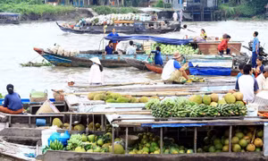 Chợ nổi Ba Ngàn (thị xã Ngã Bảy, tỉnh Hậu Giang) tấp nập ghe xuồng với bạt ngàn đặc sản hoa trái phục vụ thị trường Tết Nguyên đán. Ảnh: Duy Khương – TTXVN