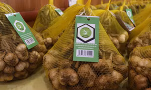 Sản phẩm tỏi An Thịnh, xã An Thịnh, huyện Lương Tài, tỉnh Bắc Ninh. Ảnh: Thương Thương - TTXVN