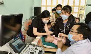 Bác sĩ khám sàng lọc và tư vấn bệnh cho người nhà các bé có nguy cơ mắc bệnh tim bẩm sinh. Ảnh: Hoài Nam – TTXVN