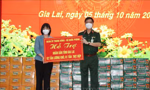Trung tướng Ngô Minh Tiến đã trao quà của Quân ủy Trung ương, Bộ Quốc phòng (2 tấn lương khô, 1 tấn thịt hộp) hỗ trợ tỉnh Gia Lai trong công tác phòng, chống dịch Covid-19. Ảnh: Hồng Pha-TTXVN phát