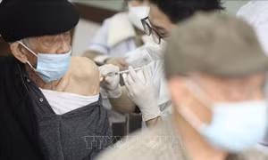 Nhân viên y tế tiêm vaccine phòng COVID-19 cho người cao tuổi phường Lê Đại Hành (quận Hai Bà Trưng), sáng 26/2/2022. Ảnh: Minh Quyết - TTXVN