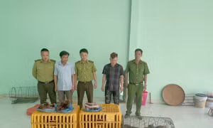 Điện Biên: Thu giữ 27 cá thể động vật hoang dã không rõ nguồn gốc, xuất xứ