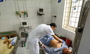Bác sĩ khám cho bệnh nhân sốt xuất huyết đang điều trị tại khoa Truyền nhiễm, bệnh viện đa khoa Đống Đa. Ảnh: Minh Quyết – TTXVN