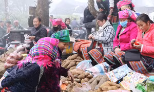 Sản phẩm bày bán tại chợ phiên Sin Suối Hồ chủ yếu là nông sản do đồng bào Mông nuôi trồng, thu hái từ rừng hoặc những bộ trang phục truyền thống do các bà, các mẹ thêu thùa, may dệt. Ảnh: Nguyễn Oanh