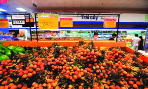Vải thiều Bắc Giang được đưa lên kệ bày bán phục vụ khách hàng trong hệ thống siêu thị Co.opmart ở các tỉnh khu vực phía Bắc. Ảnh:Phan Tuấn Anh