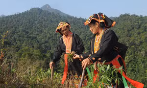 Nâng cao đời sống người dân vùng miền núi, dân tộc tỉnh Bắc Giang