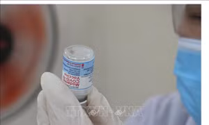 Phụ nữ cho con bú có thể tiêm vaccine phòng COVID-19