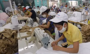 Sản xuất hàng xuất khẩu sang thị trường Nhật Bản tại Công ty Cổ phần dệt may Sơn Nam, Nam Định (ảnh tư liệu). Ảnh: Trần Việt – TTXVN