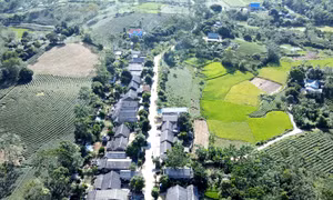 20 năm nhường đất cho dự án Thủy điện Tuyên Quang