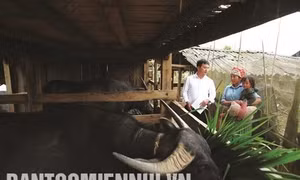 Trạm Tấu với công tác di dân vùng lũ