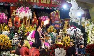 Phần trình diễn của của nghệ nhân ưu tú Đặng Ngọc Anh (Hà Nội). Ảnh: Mạnh Tú - TTXVN