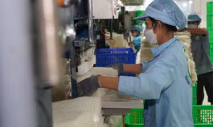 Bánh tráng Tân Nhiên là sản phẩm đạt chất lượng cao cả về bao bì, nhãn mác và quy trình sản xuất. Ảnh: Thanh Tân