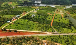 Mở đường, phân lô tại khu vực ven đường tránh trung tâm thành phố Gia Nghĩa, tỉnh Đắk Nông. Ảnh: TTXVN phát