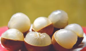 Thanh Nhãn Bạc Liêu có ưu điểm trái to, hạt nhỏ, cơm dày, ráo nước, vị ngọt thanh. Ảnh: Thanh Nhã