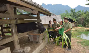 Công an huyện Lâm Bình thực hiện “4 cùng” với đồng bào Mông trên địa bàn. Ảnh: TTXVN phát