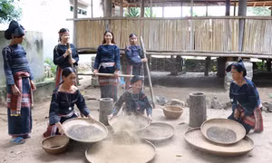 Say nồng rượu cần men lá Tây Nguyên
