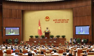 Thông cáo báo chí số 9, Kỳ họp thứ 5, Quốc hội khóa XV