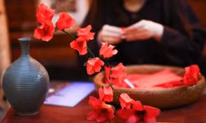 Chương trình du lịch "Bác Cổ - Mùa hoa gạo"