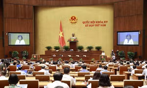 Thống đốc Ngân hàng nhà nước Việt Nam Nguyễn Thị Hồng trình bày Tờ trình về dự án Luật Các tổ chức tín dụng (sửa đổi). Ảnh: Doãn Tấn - TTXVN