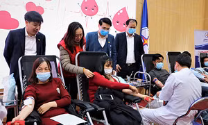 Cán bộ Công ty Điện lực Lai Châu tham gia hiến máu tình nguyện. Ảnh: Đinh Thùy - TTXVN