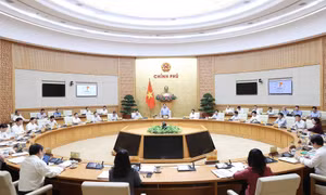 Nghị quyết phiên họp Chính phủ thường kỳ tháng 8/2022
