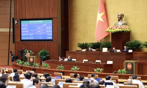 Quốc hội biểu quyết thông qua Nghị quyết về quyết định chủ trương đầu tư Dự án đường giao thông từ Quốc lộ 27C đến đường tỉnh ĐT.656 tỉnh Khánh Hòa - kết nối với Lâm Đồng và Ninh Thuận. Ảnh: Doãn Tấn – TTXVN