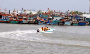 Cán bộ, chiến sĩ đồn Biên phòng Rạch Gốc (Bộ đội Biên phòng tỉnh Cà Mau) tuần tra, kiểm soát trên vùng cửa biển Cà Mau. Ảnh: Hồng Đạt - TTXVN