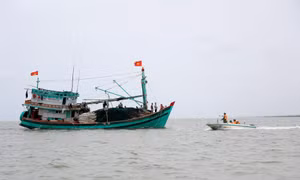 Bộ đội Biên phòng tỉnh Cà Mau đã phát hiện 17 vụ/44 trường hợp vi phạm IUU trong năm 2022 và những tháng đầu năm 2023. Ảnh: Hồng Đạt - TTXVN