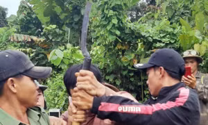 Đắk Nông: Hệ lụy từ một dự án lâm nghiệp buông lỏng quản lý, bảo vệ rừng
