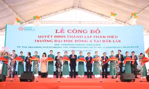 Đào tạo nguồn nhân lực chất lượng cao cho khu vực Tây Nguyên