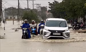 Mưa lớn gây ngập lụt tại nhiều vùng trũng thấp ở Ninh Thuận