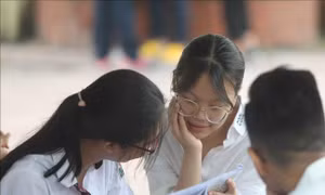 Thí sinh tranh thủ ôn lại kiến thức trước khi vào phòng thi. Ảnh: Thanh Tùng – TTXVN