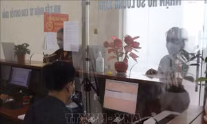 Hải quan cửa khẩu Tân Thanh kiểm tra dữ liệu khai báo trên phần mềm Cửa khẩu số. Ảnh: Quang Duy - TTXVN