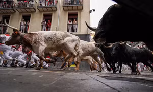 Khai màn mùa lễ hội đấu bò San Fermin