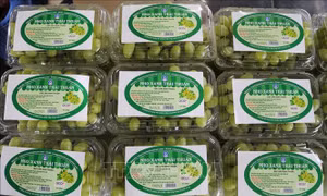 Sản phẩm nho xanh của Công ty TNHH Sản xuất và Thương mại nông sản Thái Thuận – Ninh Thuận đã được xử lý sạch trên dây chuyền công nghệ hiện đại của dự án cấp Bộ Nông nghiệp và Phát triển nông thôn. Ảnh: Nguyễn Thành – TTXVN