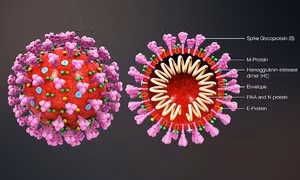 Australia phát triển phần mềm phân tích và dự báo đột biến gene của virus SARS-CoV-2