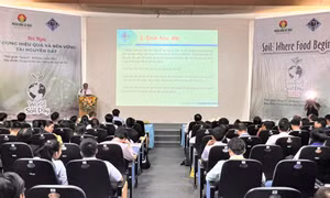 Sử dụng hiệu quả, bền vững tài nguyên đất