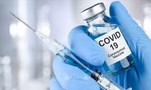 Nghiên cứu về khoảng cách giữa các mũi tiêm vaccine phòng COVID-19 đối với thai phụ