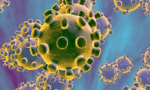 Nhiệt độ, độ ẩm và bề mặt tác động đến thời gian sống sót của virus SARS-CoV-2
