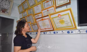 Với những nỗ lực của mình, cô Dung được khen thưởng nhiều Bằng khen, Giấy khen. Ảnh: Nguyễn Dung – TTXVN